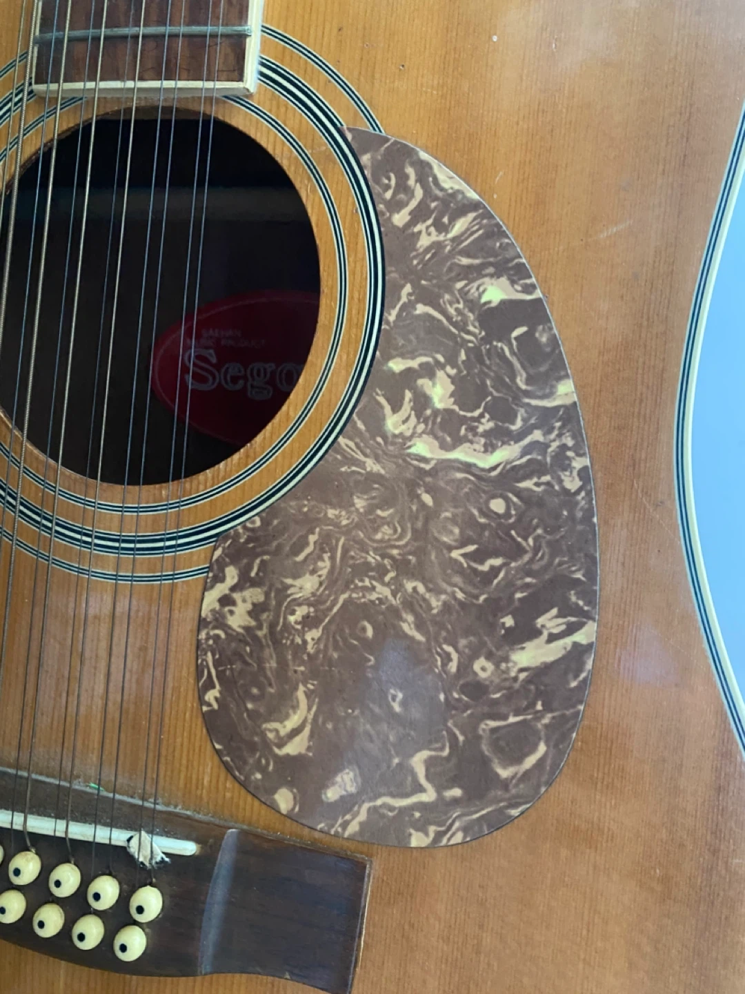 Segovia 12-String Acoustic Guitar - photo 3
