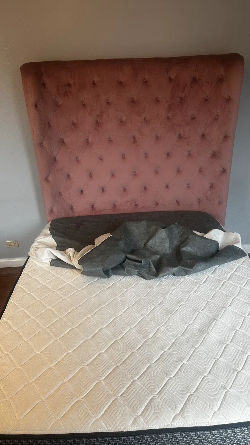 Cosmopolitan Velvet Upholstered Bed W/Iron Frame and Mattress image indicator(2)