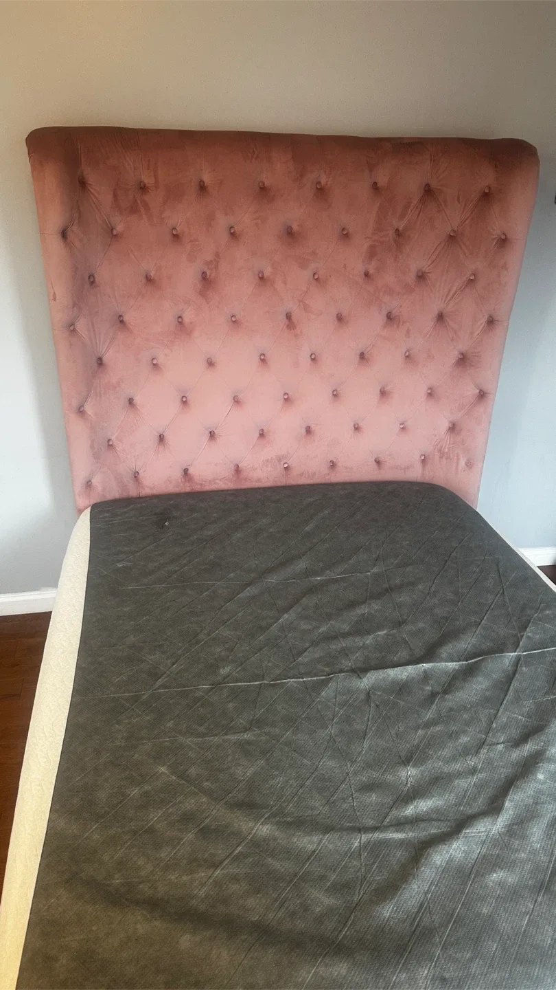 Cosmopolitan Velvet Upholstered Bed W/Iron Frame and Mattress