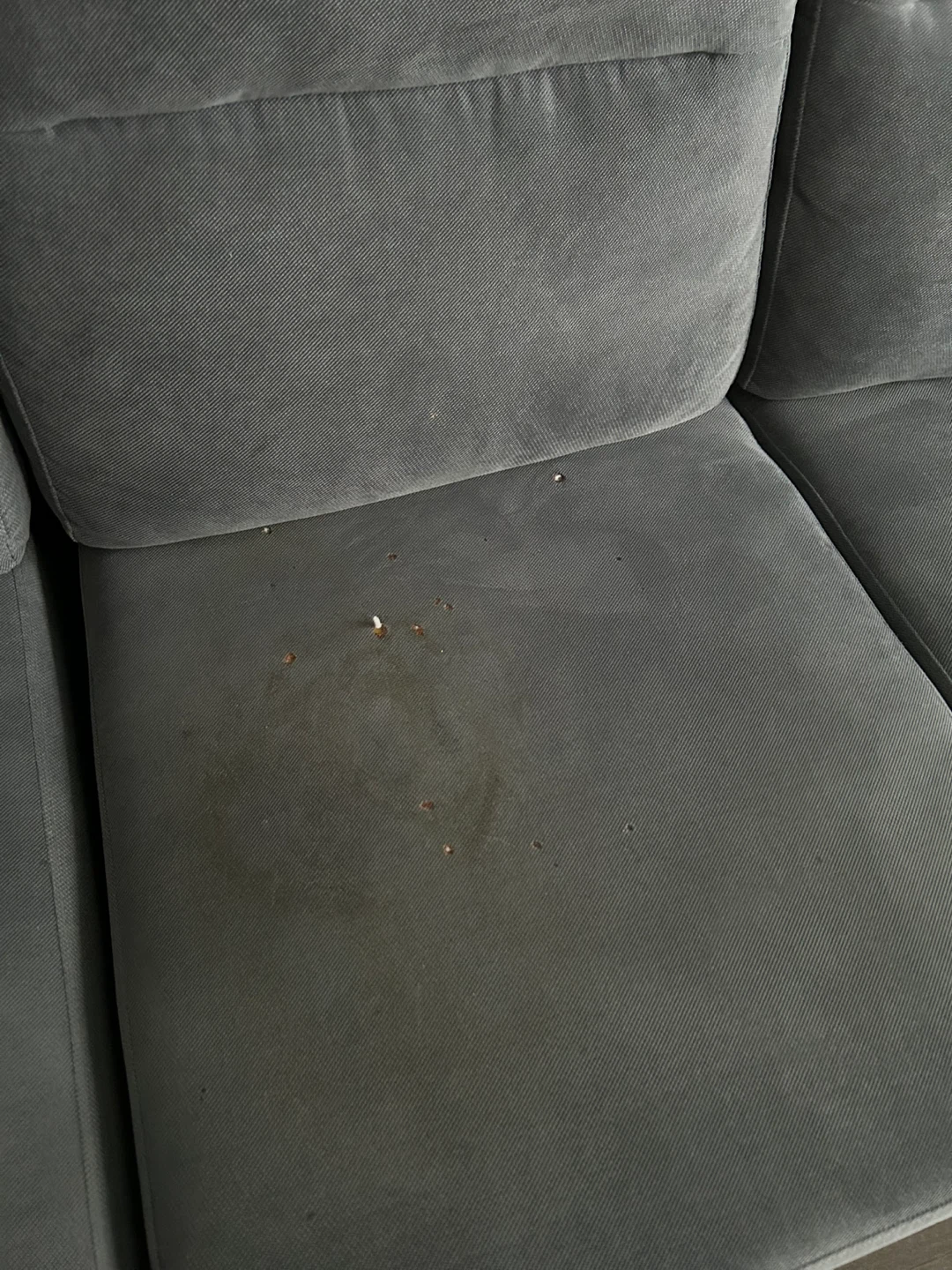 Sofa bed for FREE - photo 4