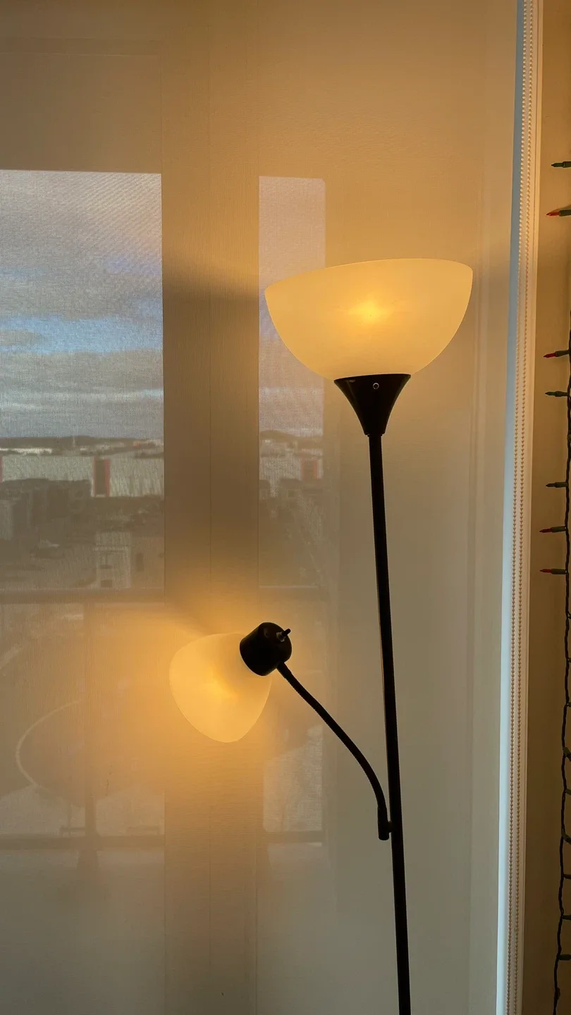 Torchiere Floor Lamp with Reading Light