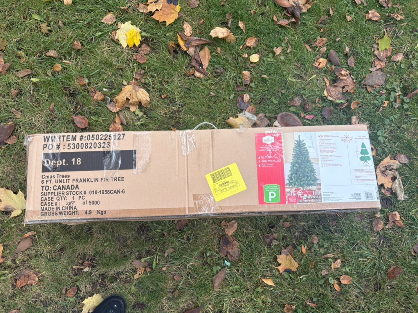 6 FT Unlit Franklin Fir Tree
