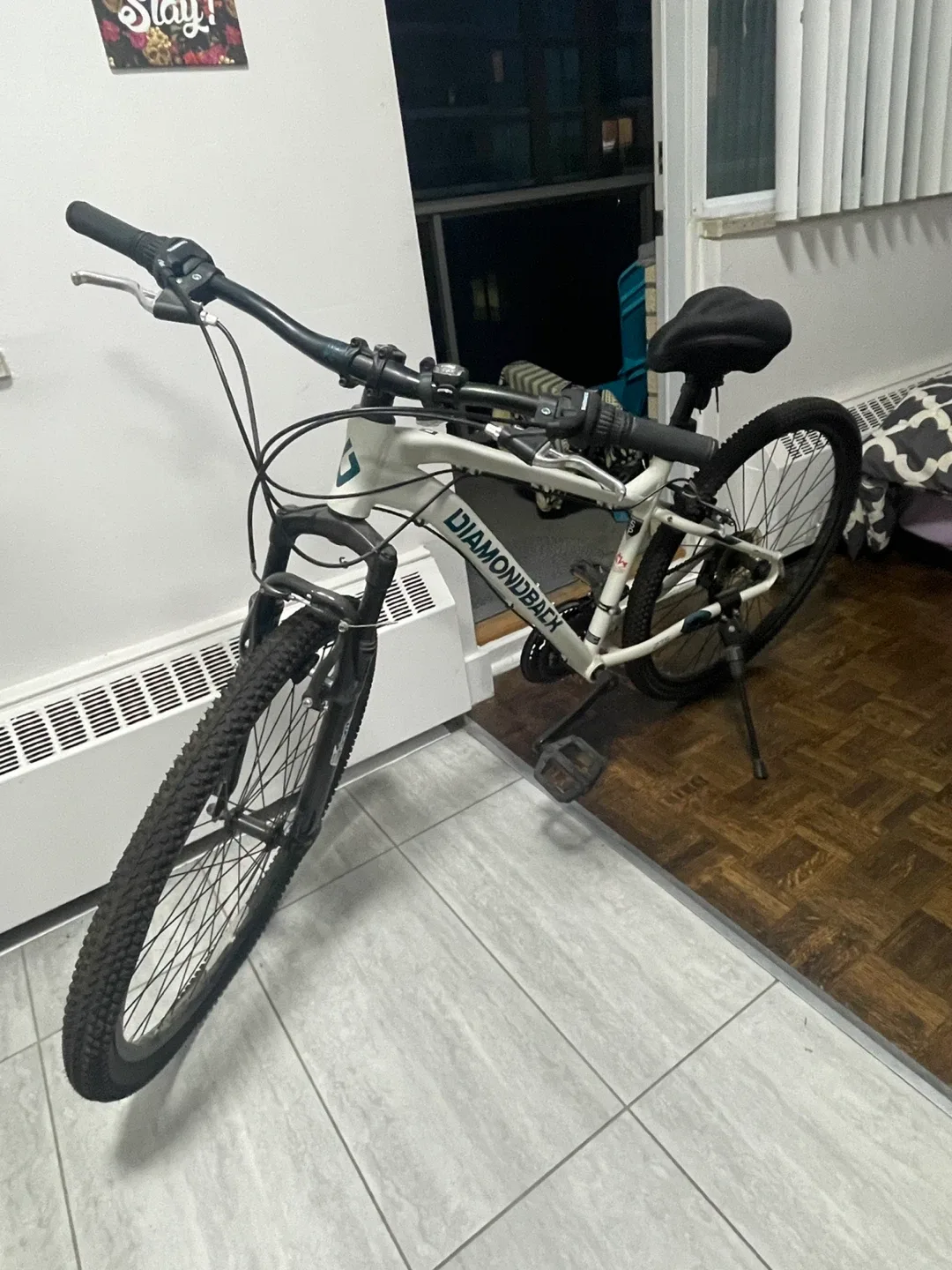 Diamondback White Mountain Bike