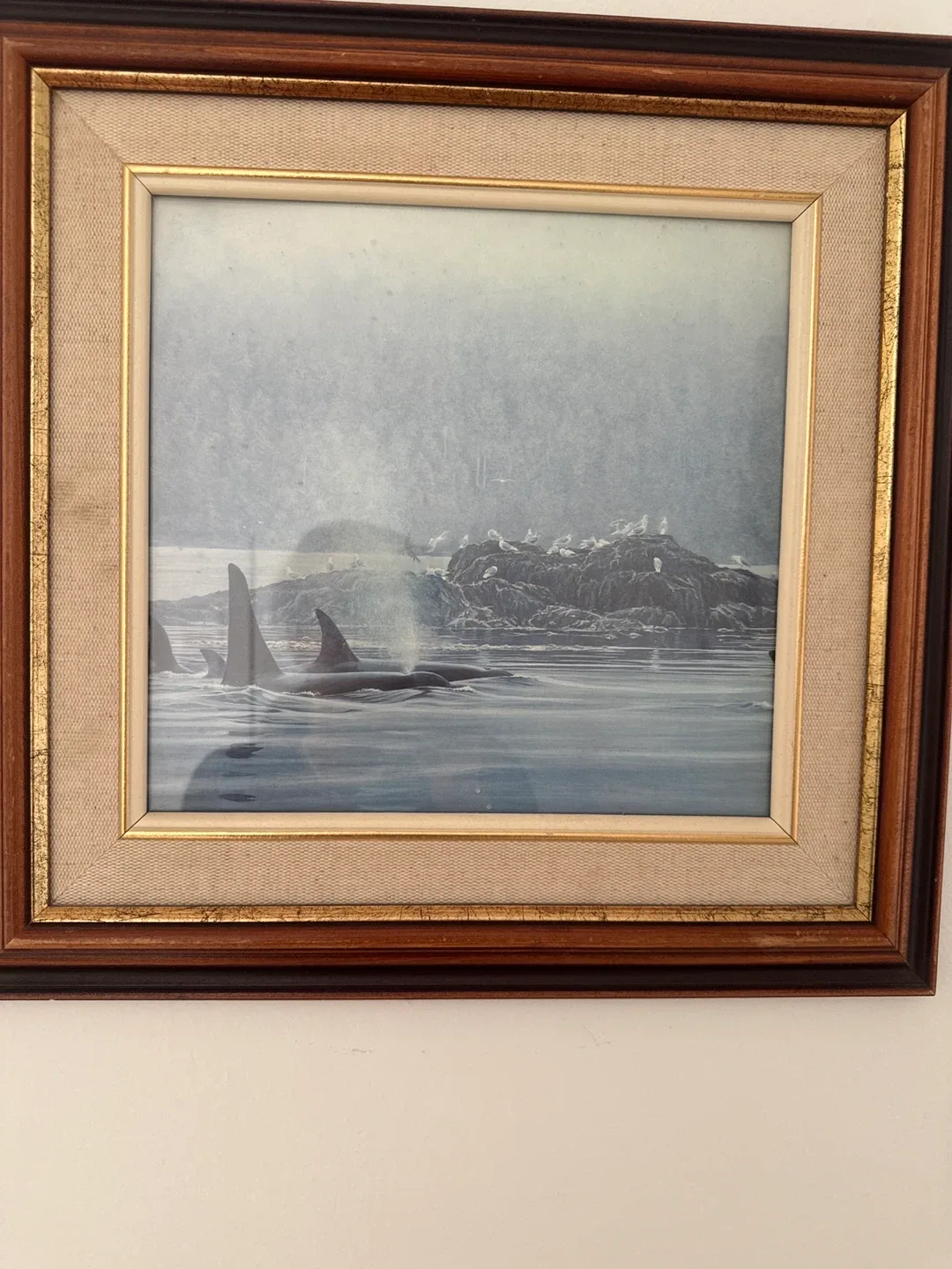 Framed Orca Print