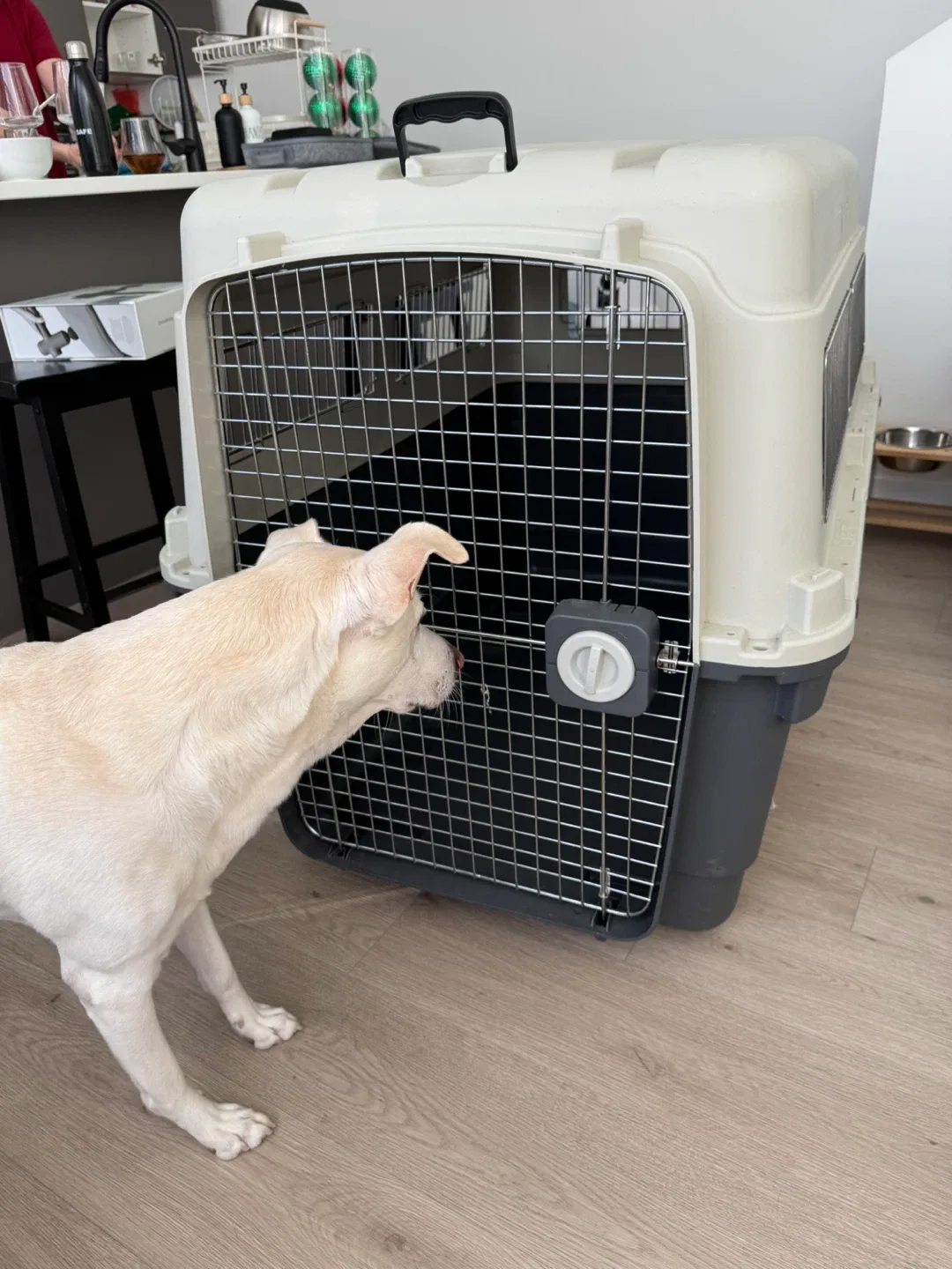 Dog/Pet Carrier Crate - Kennel Dog-XL