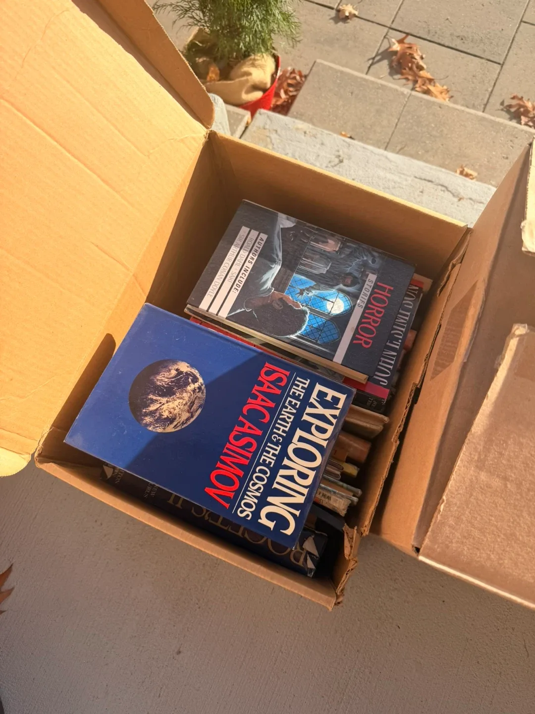 FREE 3 Huge Boxes of Mixed Books image indicator(2)