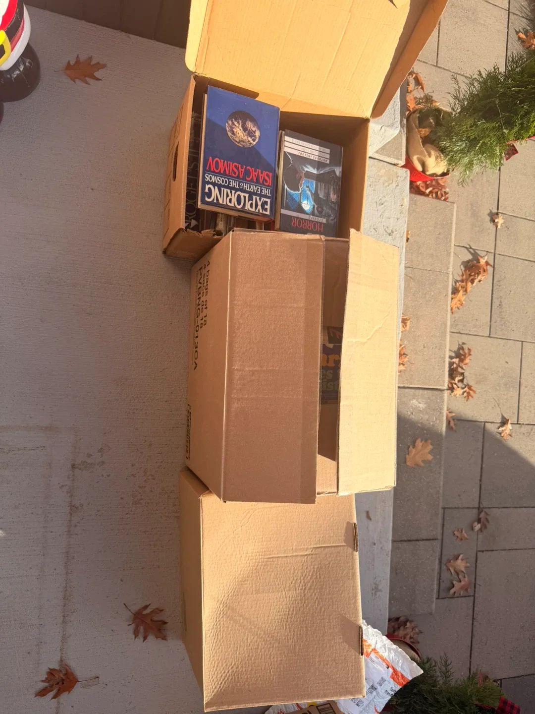 FREE 3 Huge Boxes of Mixed Books