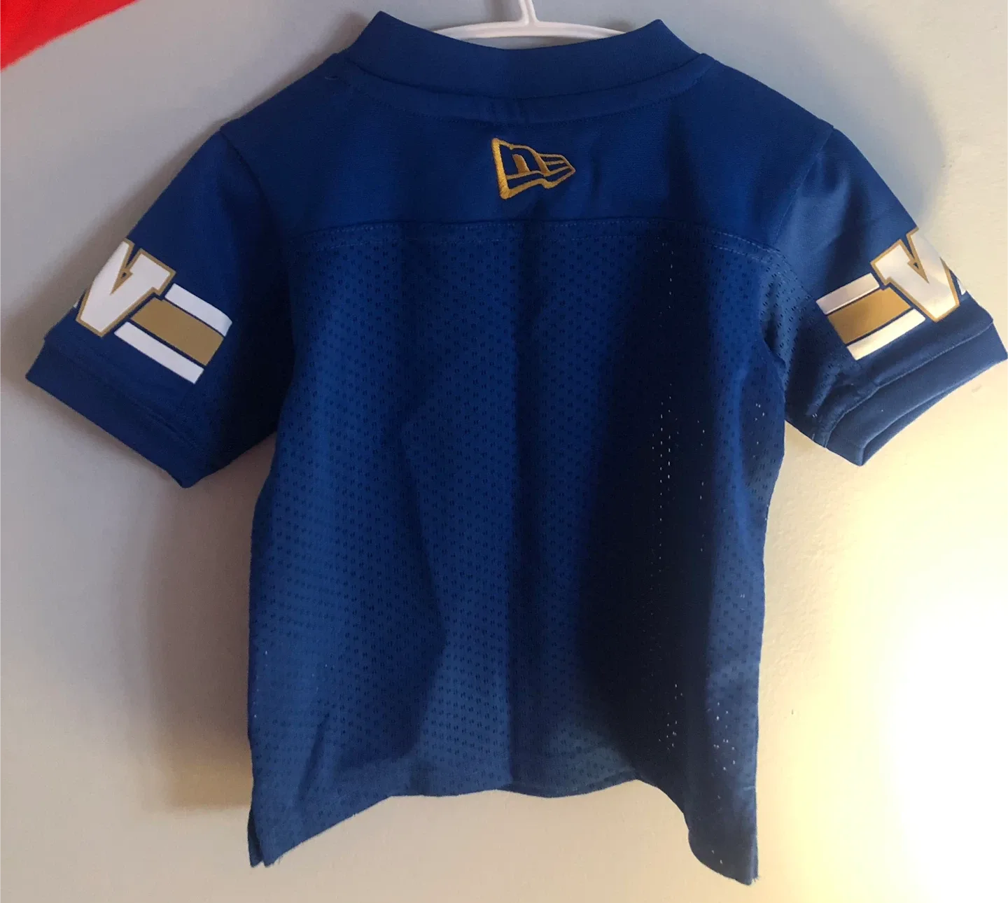 CFL Winnipeg Blue Bombers Jersey - Size 18M image indicator(2)