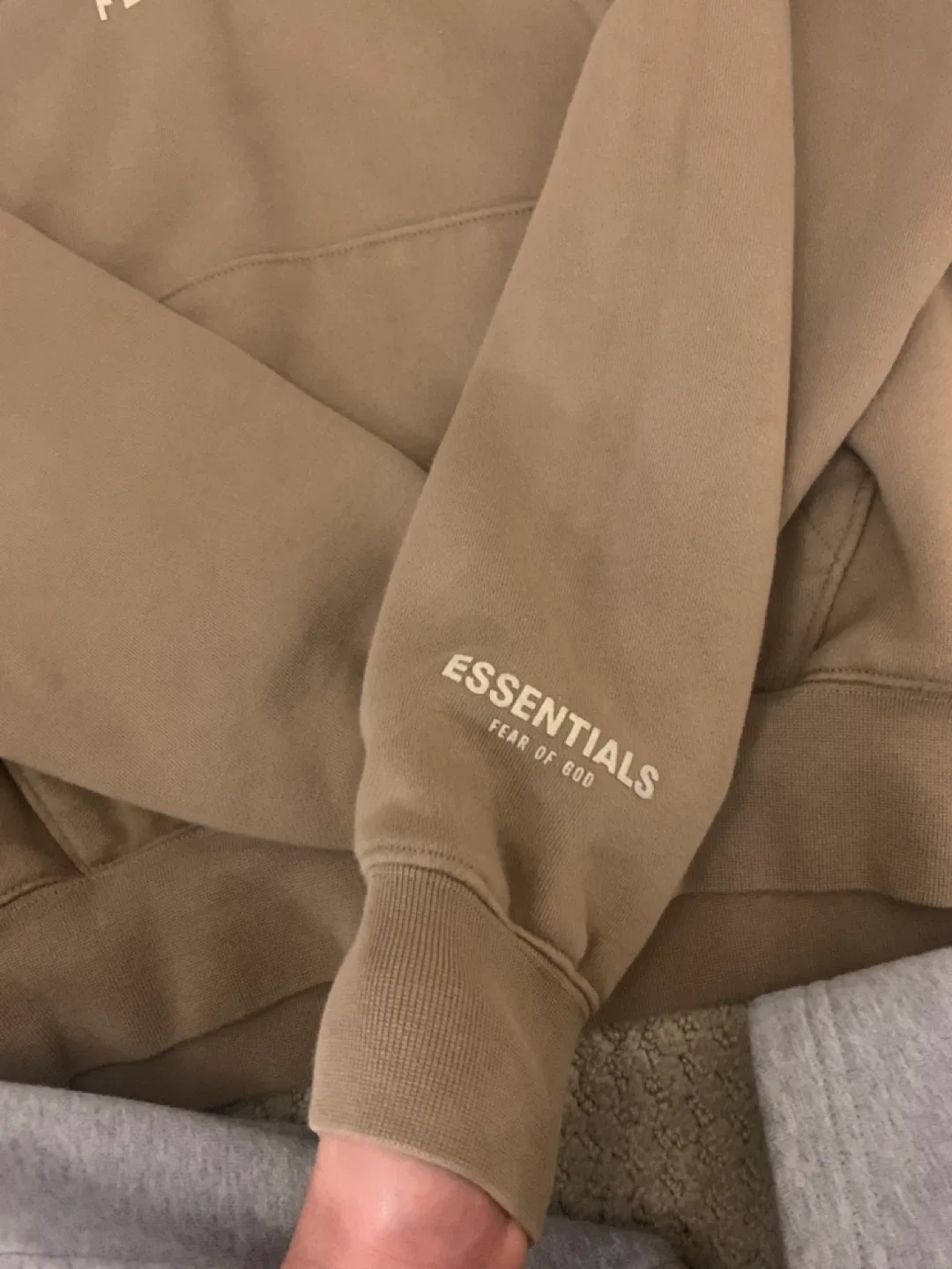 Essentials Fear of God Hoodie image indicator(2)