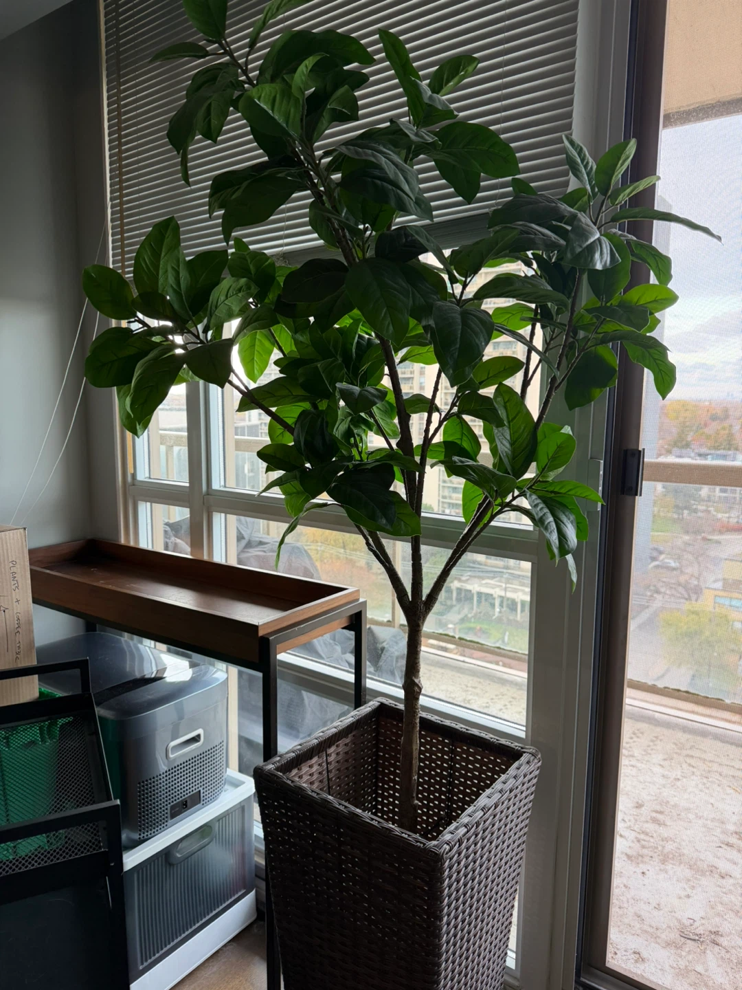 Artificial Plants and Wicker planters