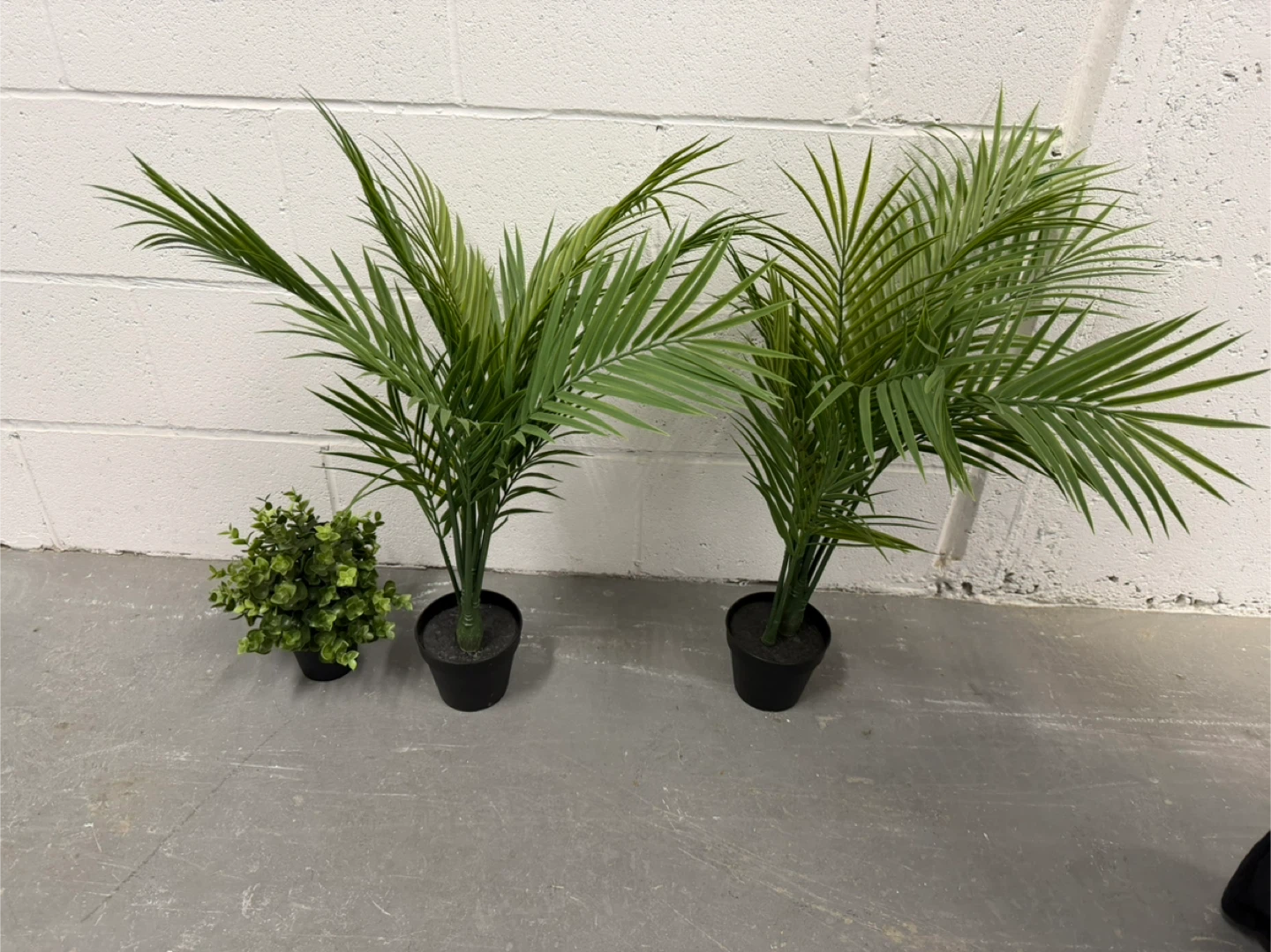 Artificial Plants and Wicker planters - photo 3