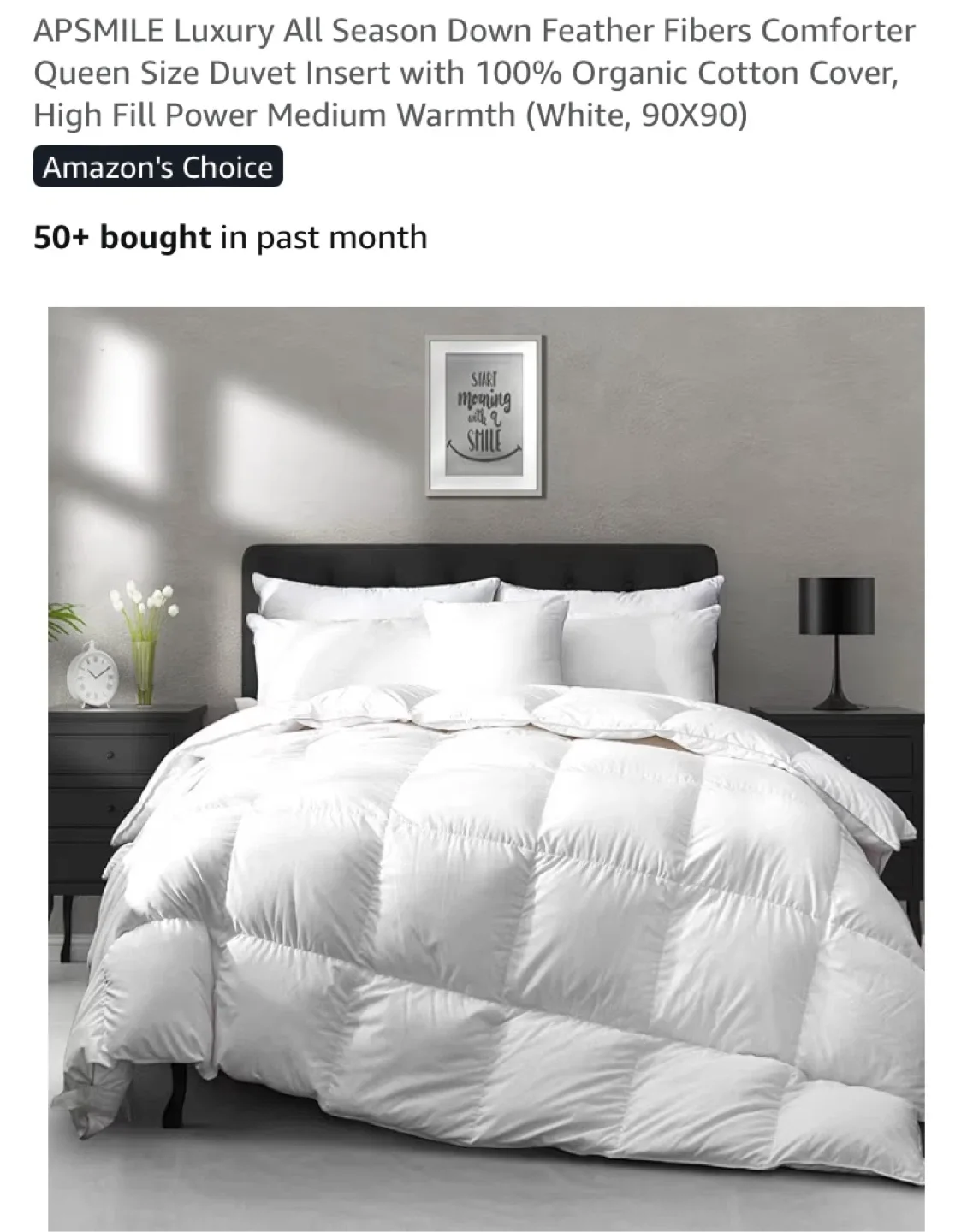 New APSMILE Luxury All Season Down Feather Duvet Comforter Queen