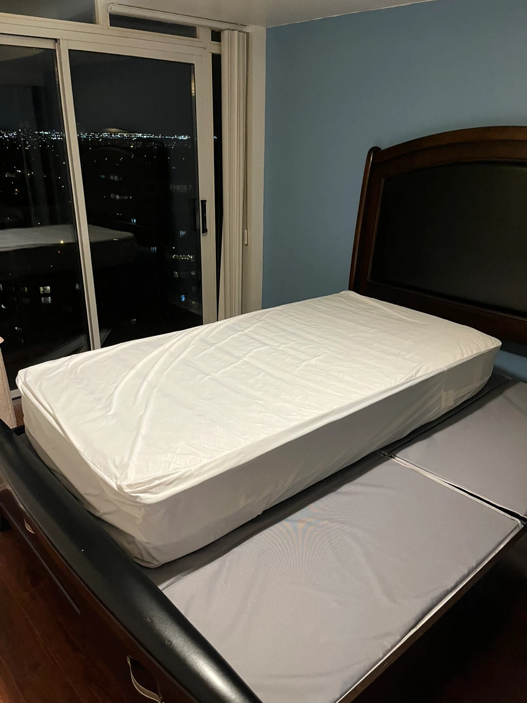 FREE Twin size mattress