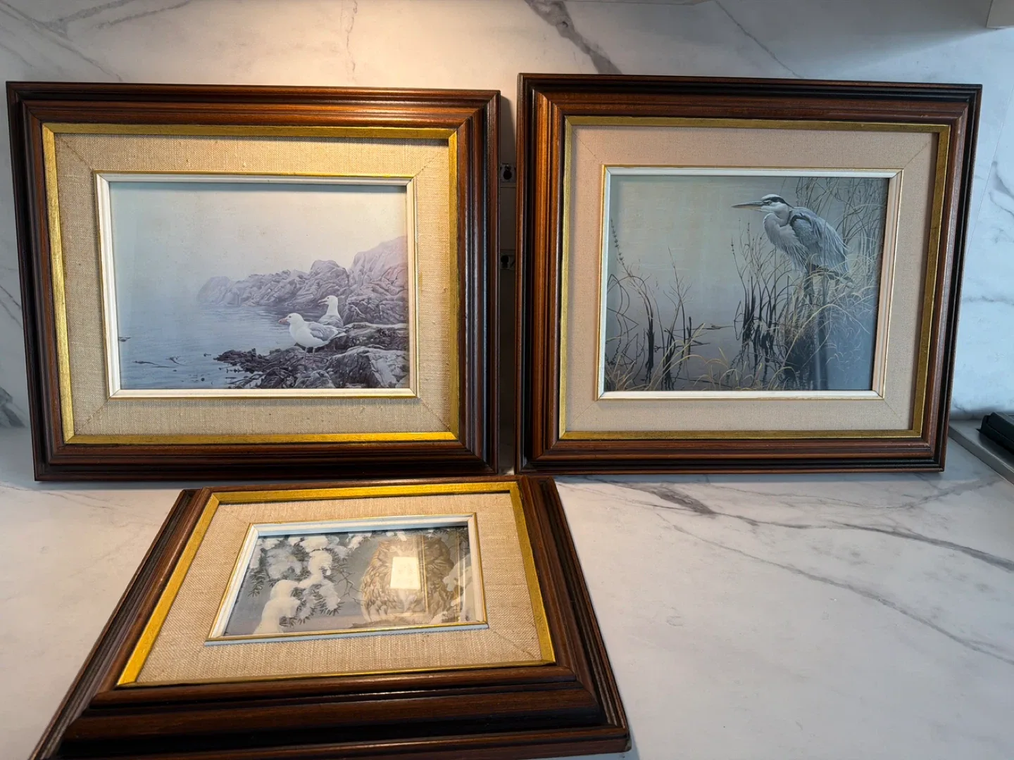 Framed Bird Art Prints image indicator(5)