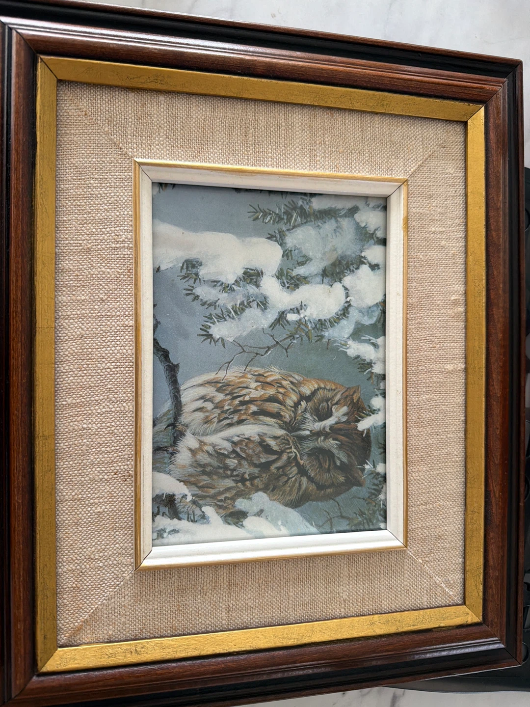 Framed Bird Art Prints - photo 4