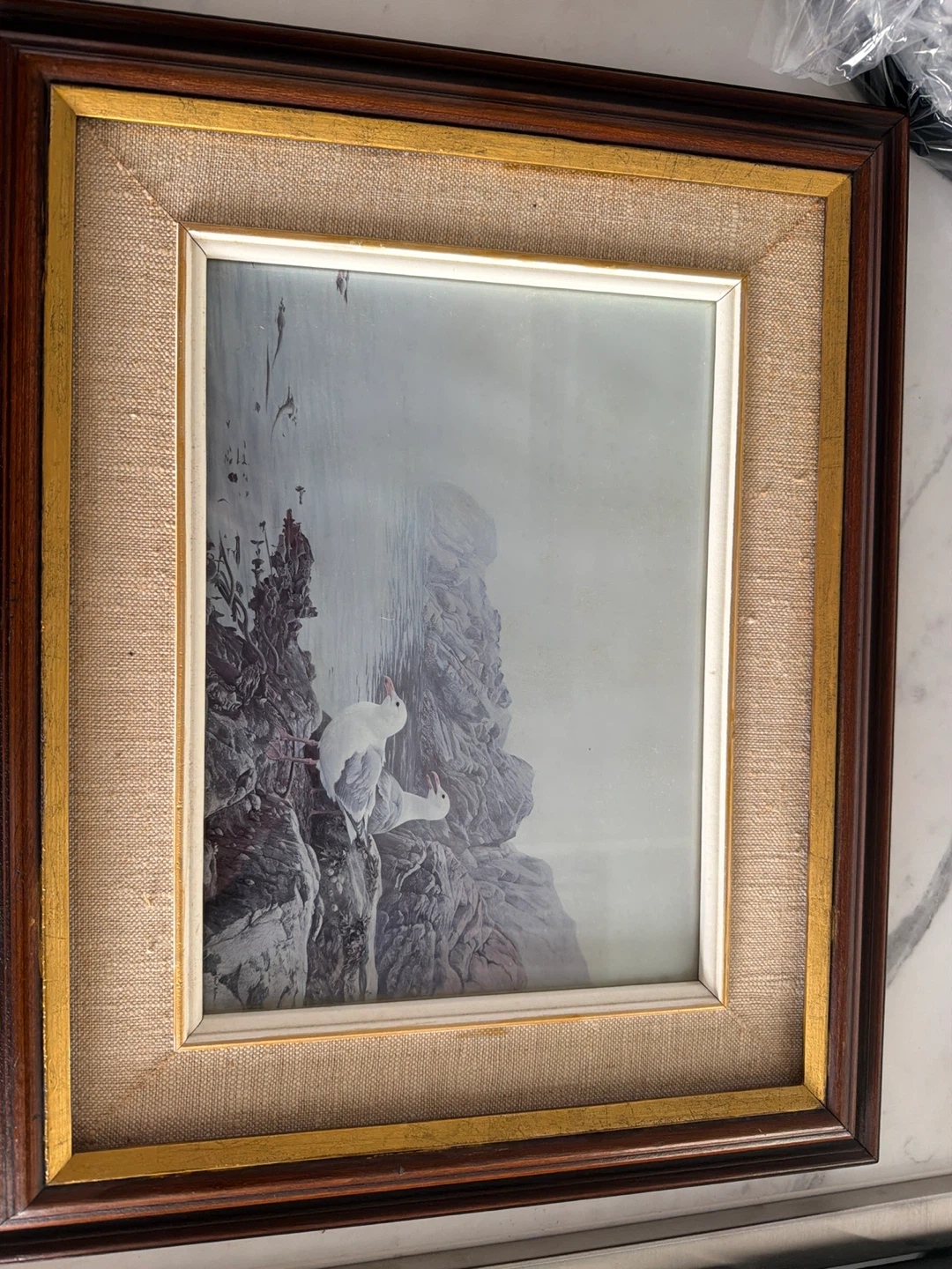 Framed Bird Art Prints - photo 2
