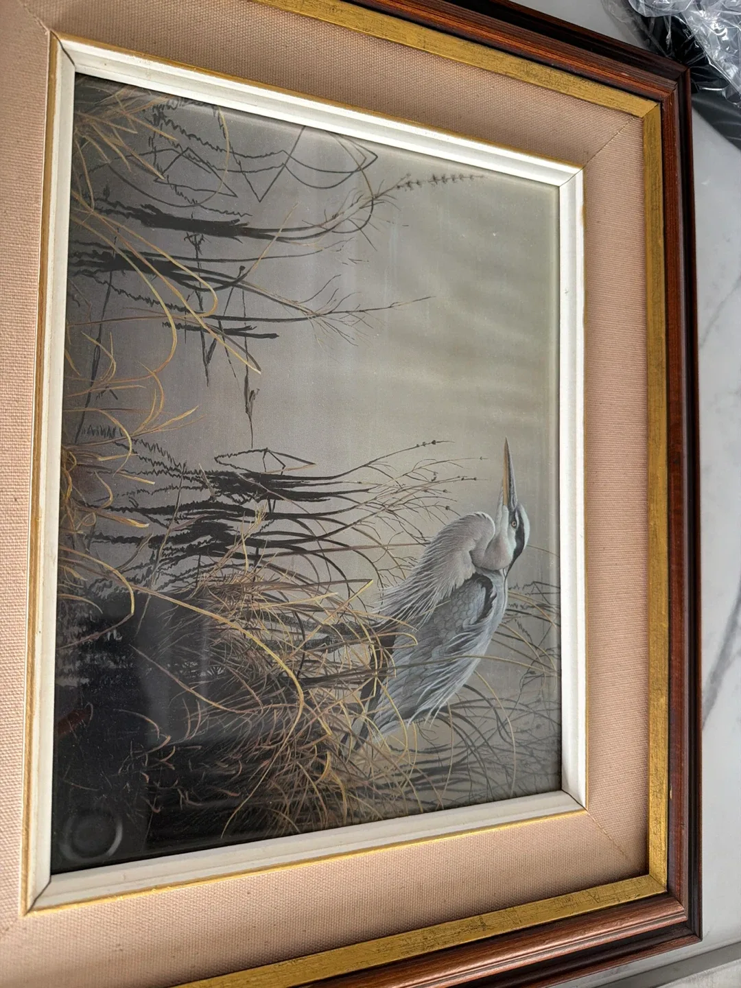 Framed Bird Art Prints image indicator(3)