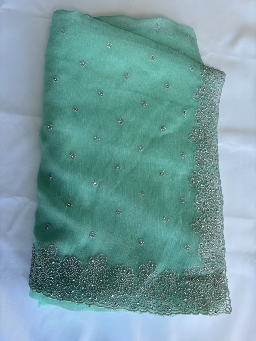 Light Green Embellished Saree