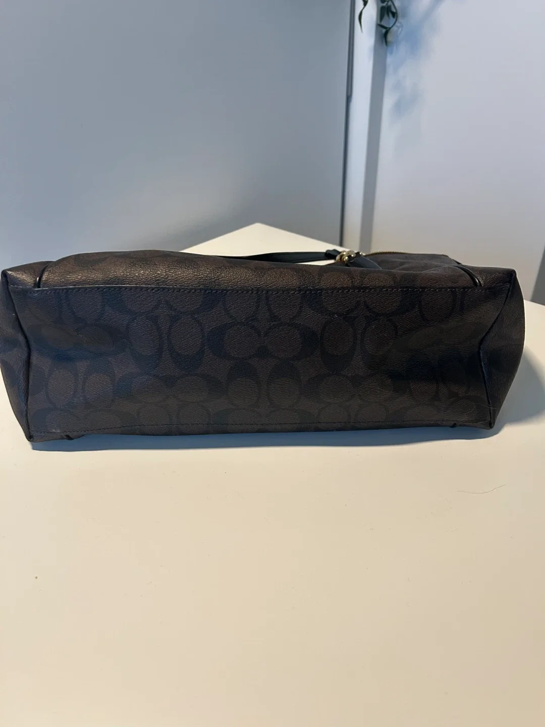 Coach Signature Chain Tote Bag image indicator(6)