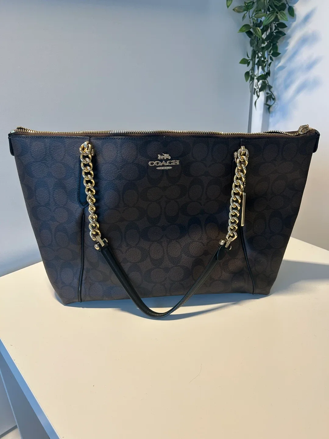 Coach Signature Chain Tote Bag