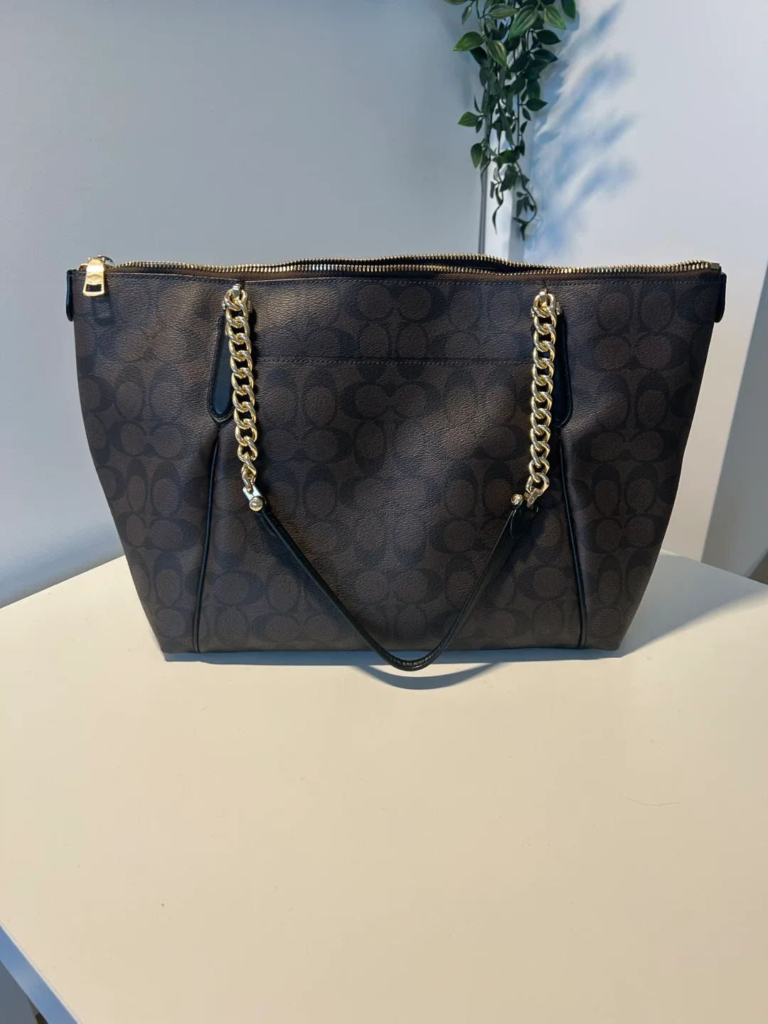 Coach Signature Chain Tote Bag image indicator(3)