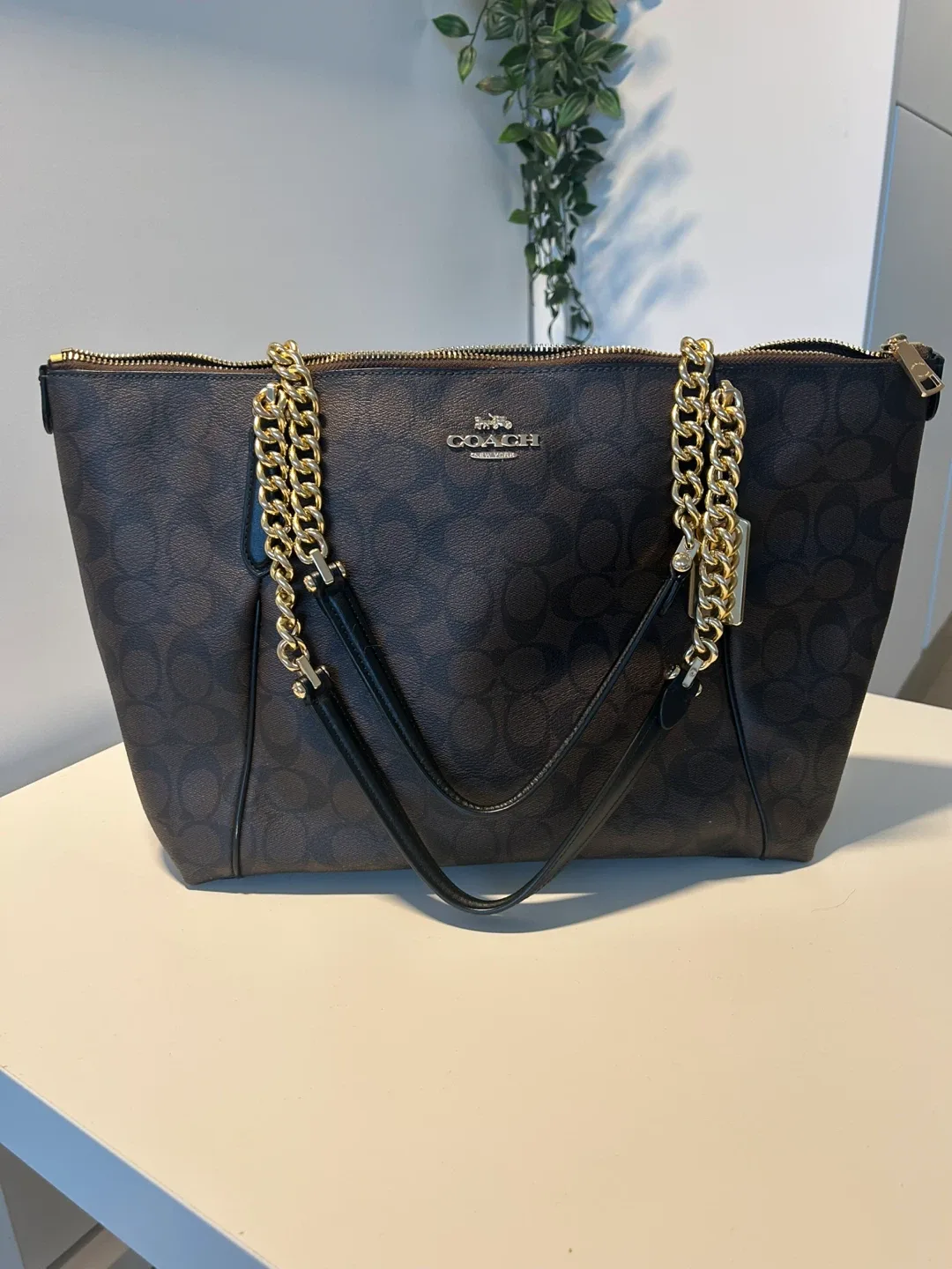 Coach Signature Chain Tote Bag image indicator(2)