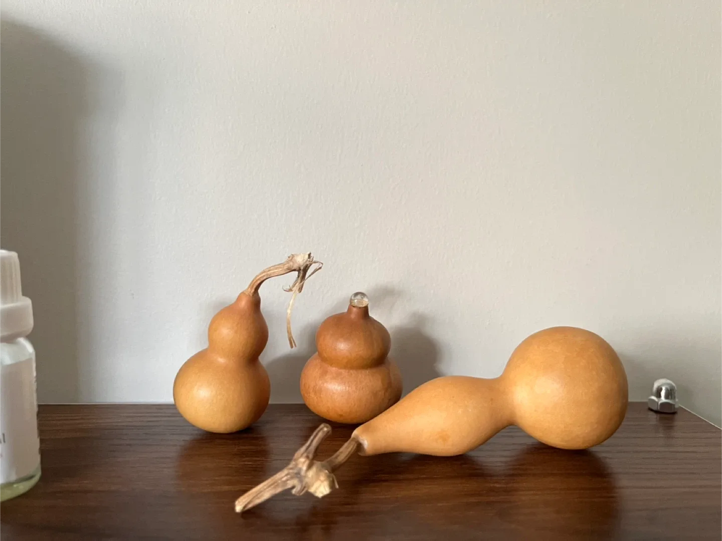 Dried Gourds 3 for $10