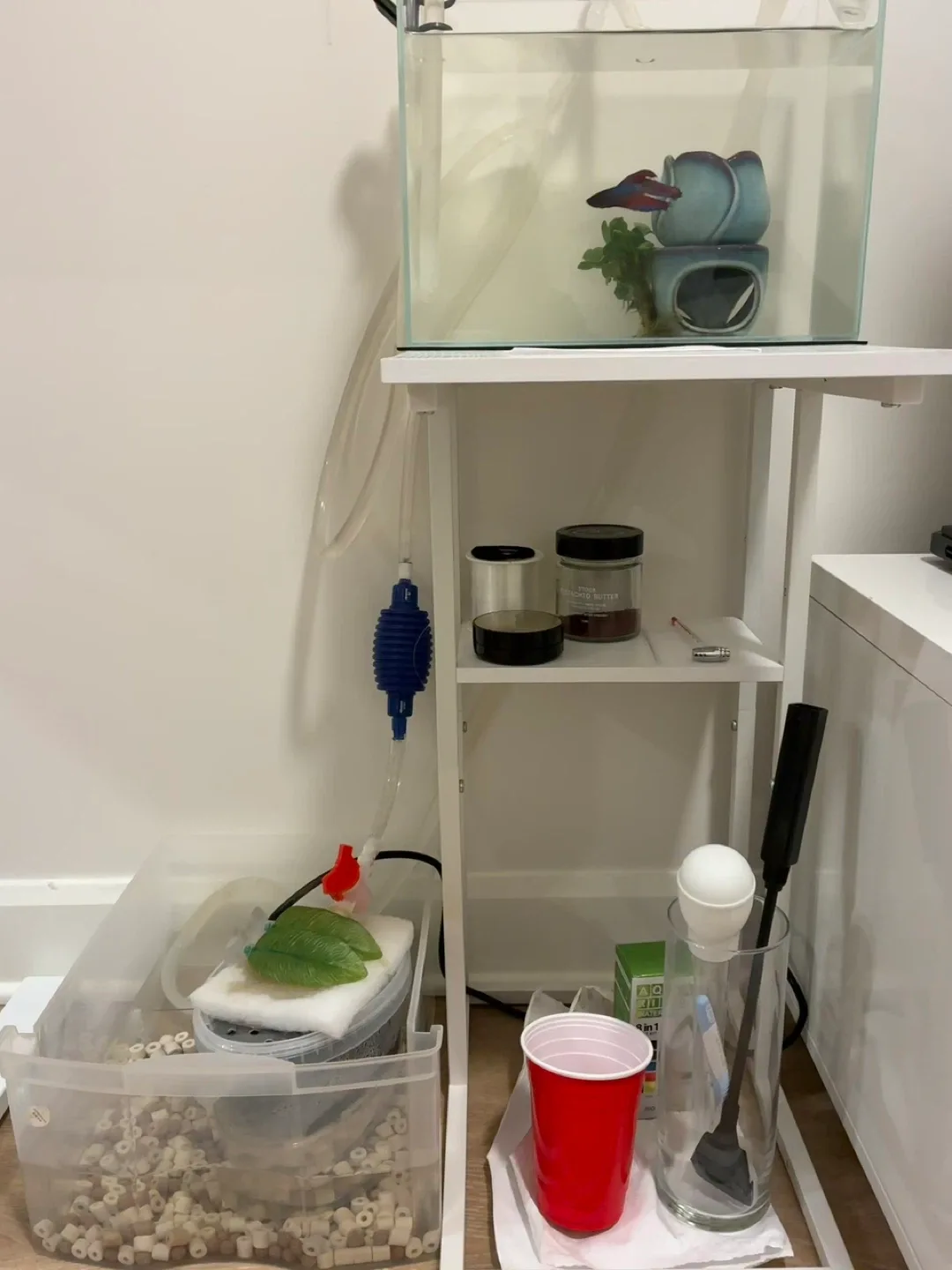 3 gallon fish tank with filter and decorations image indicator(2)