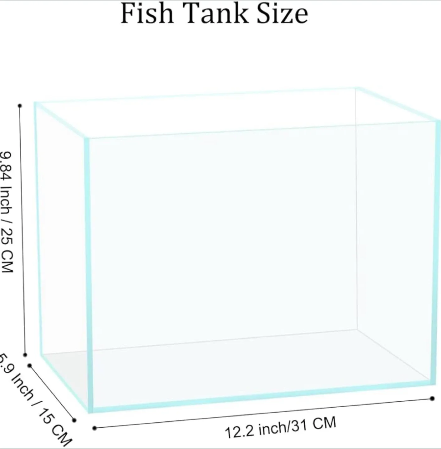 3 gallon fish tank with filter and decorations