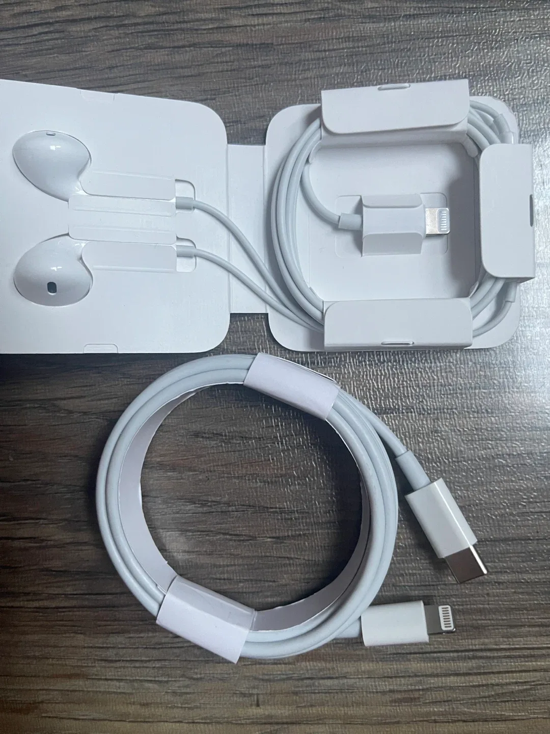 Lightning Earphones and Cable