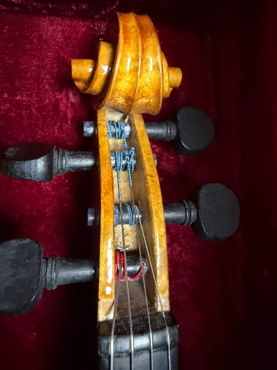 Youth Violin image indicator(2)