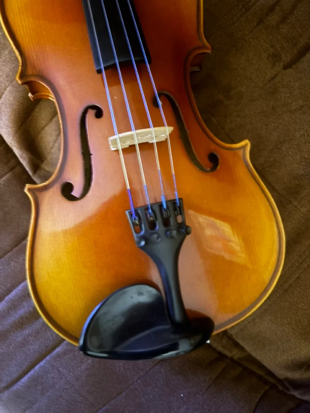 Youth Violin image indicator(7)