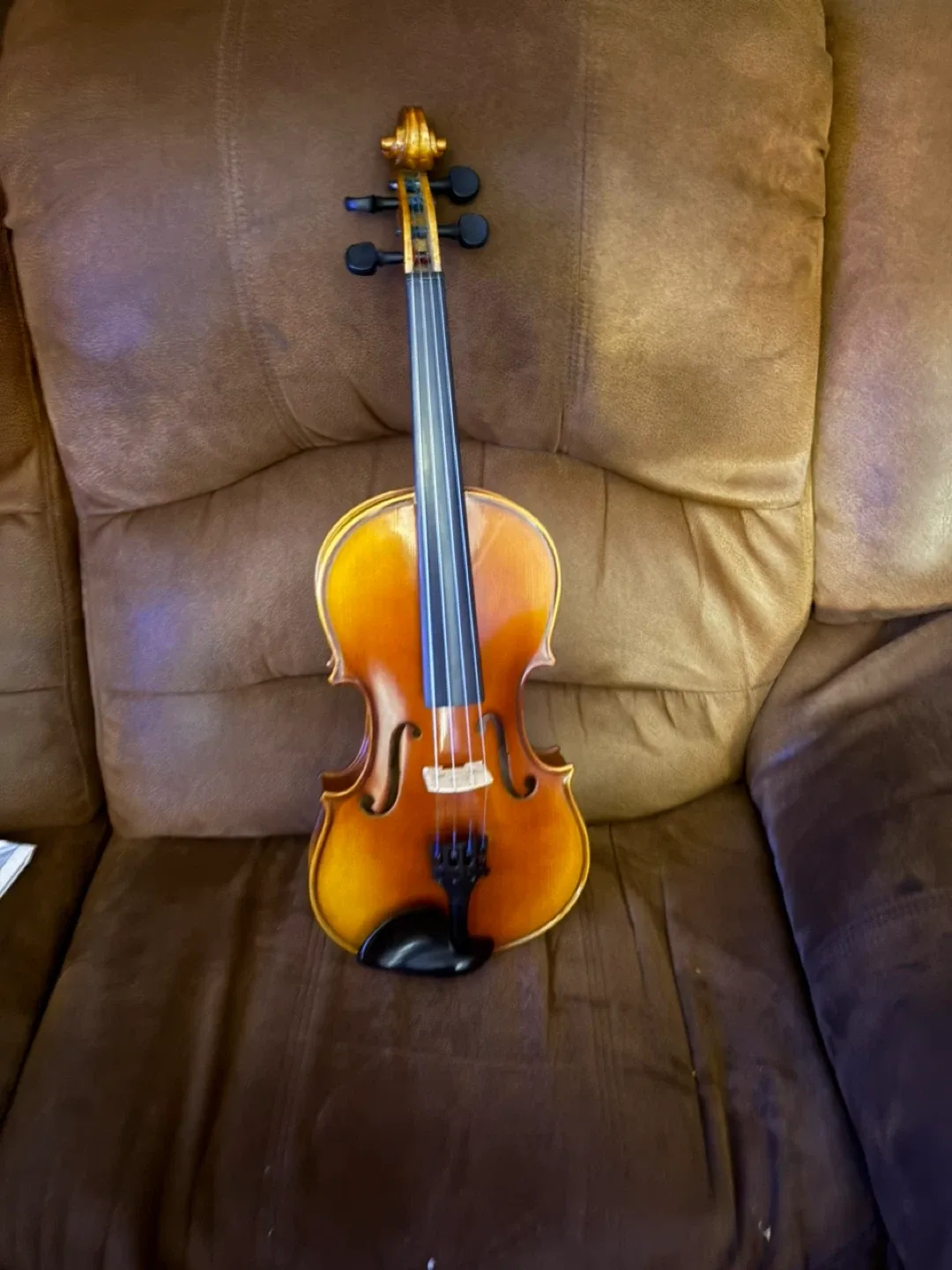 Youth Violin image indicator(10)