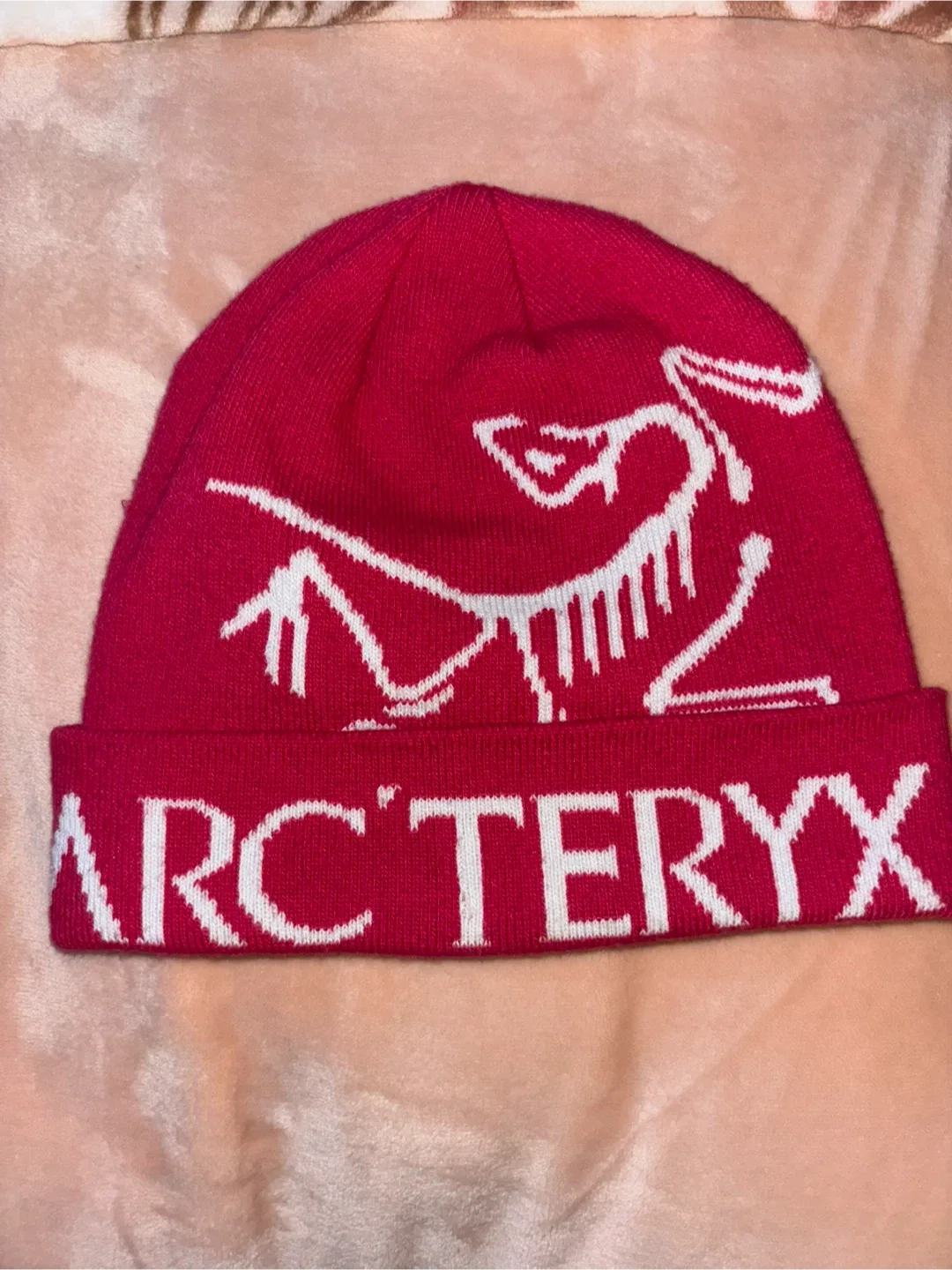 Arc'teryx Bird Word Toque