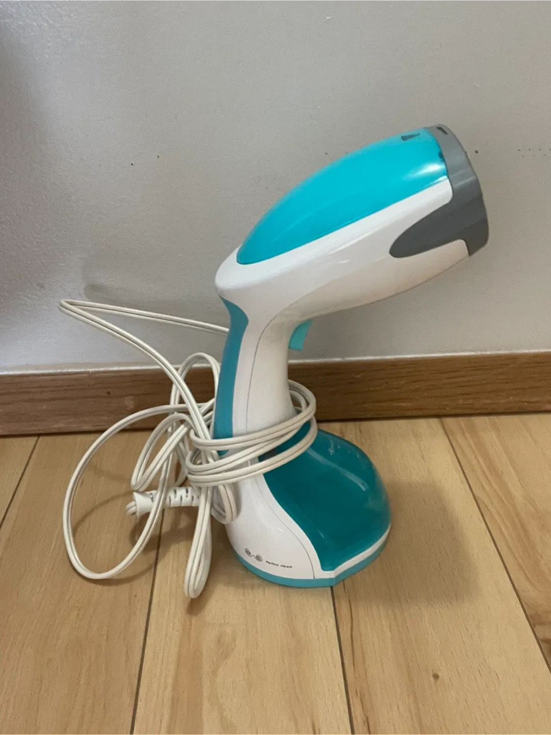 Handheld Steamer