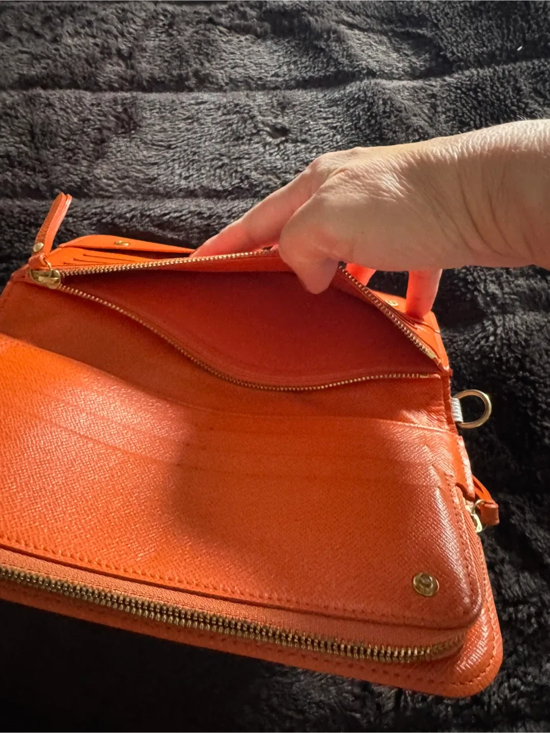 Louis Vuitton Multicolor Zippy Wallet image indicator(7)