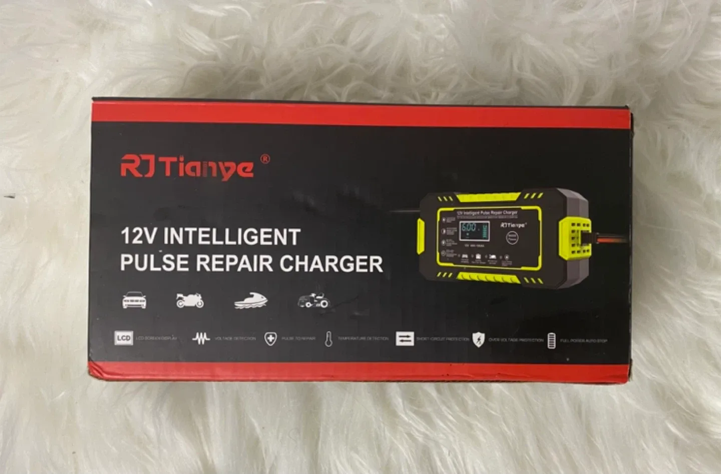 RJ Tianye 12V Intelligent Pulse Repair Charger