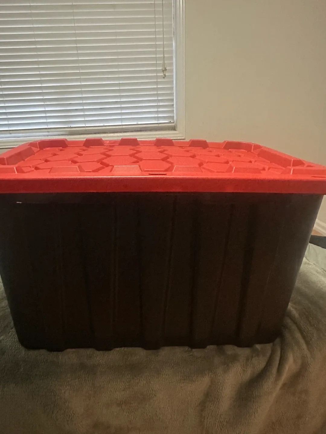 Storage Container - Red Lid, Black Base