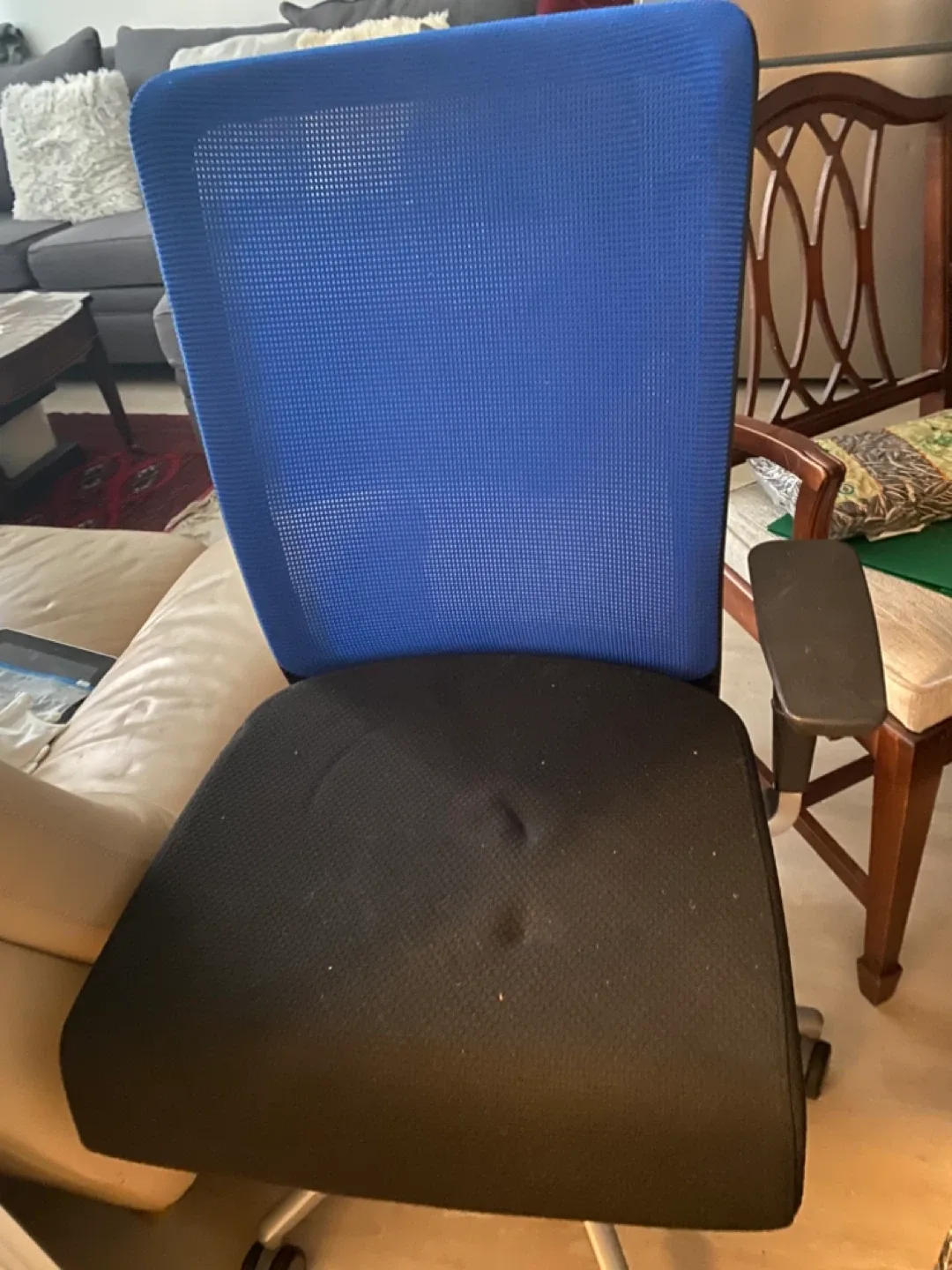 Blue & Black Office Chair