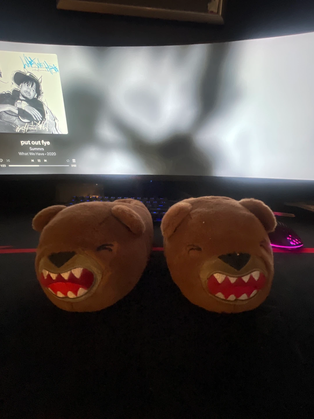 Bear Slippers Size S (13/1)
