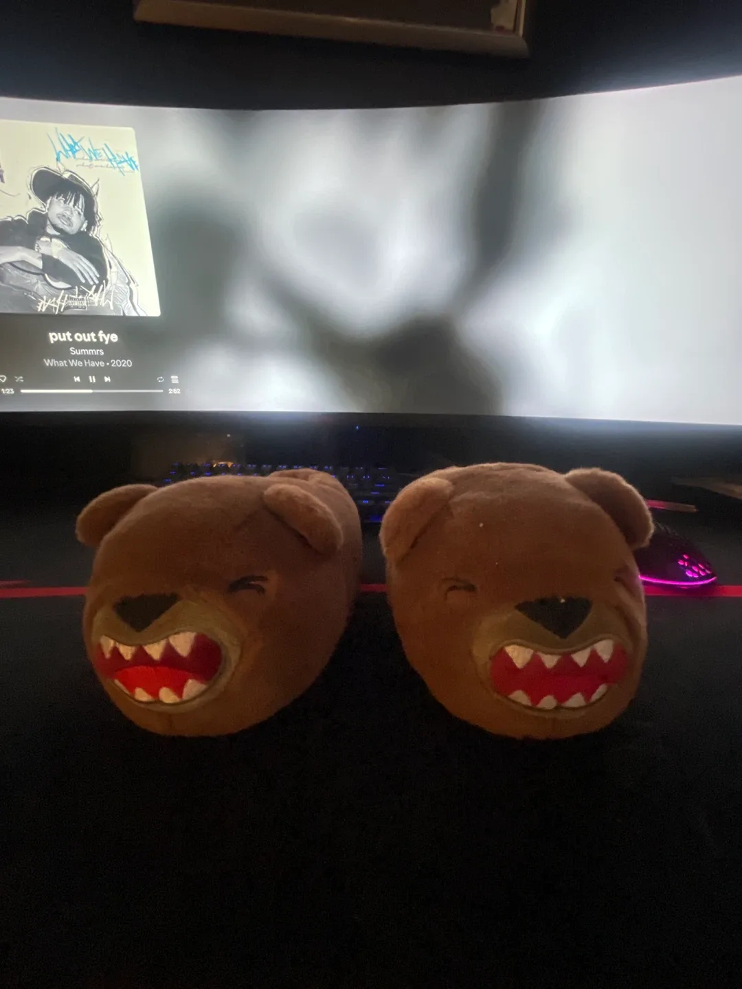 Bear Slippers Size S (13/1)