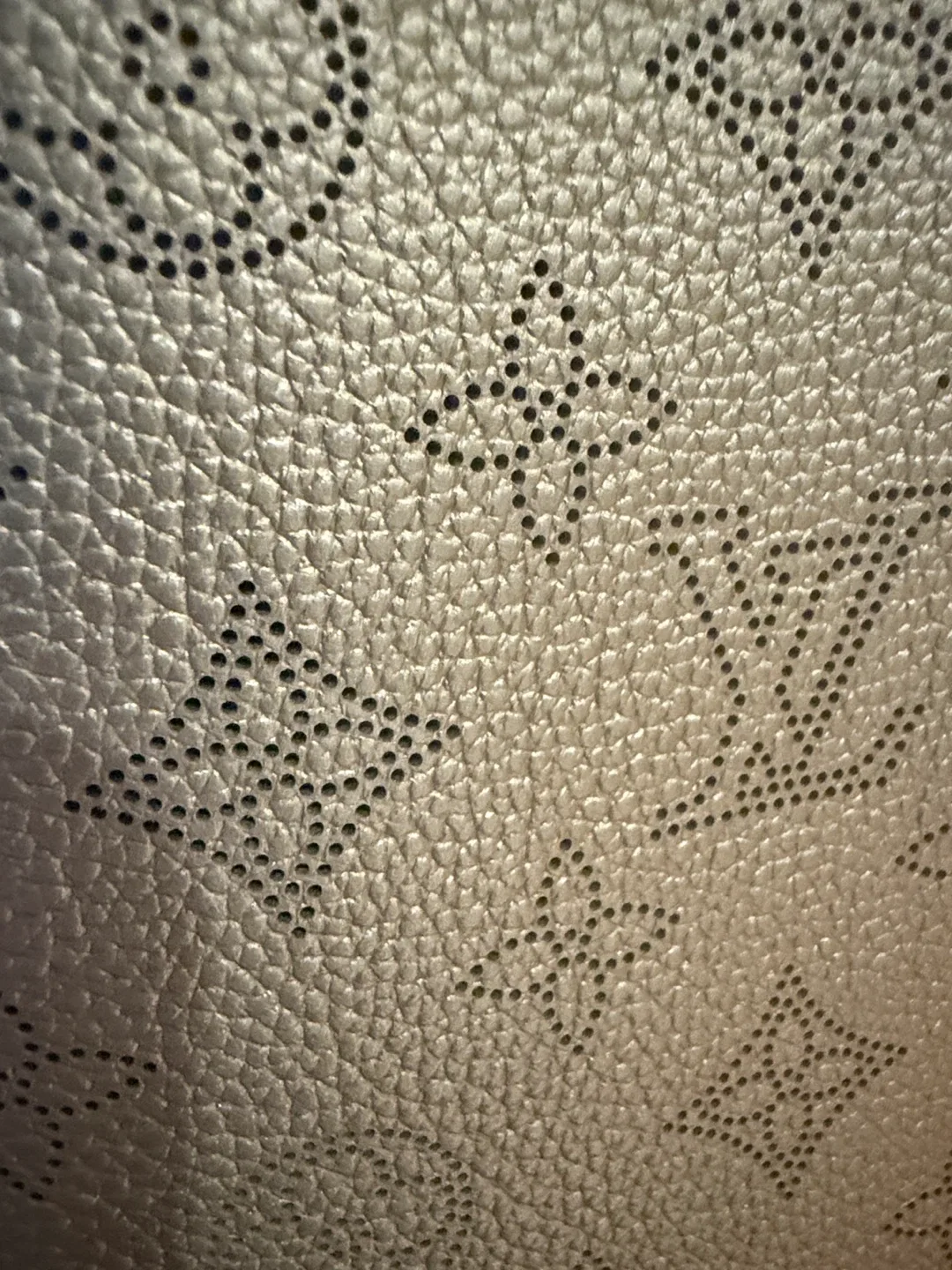 Louis Vuitton Muria Bucket Bag 2025 image indicator(5)