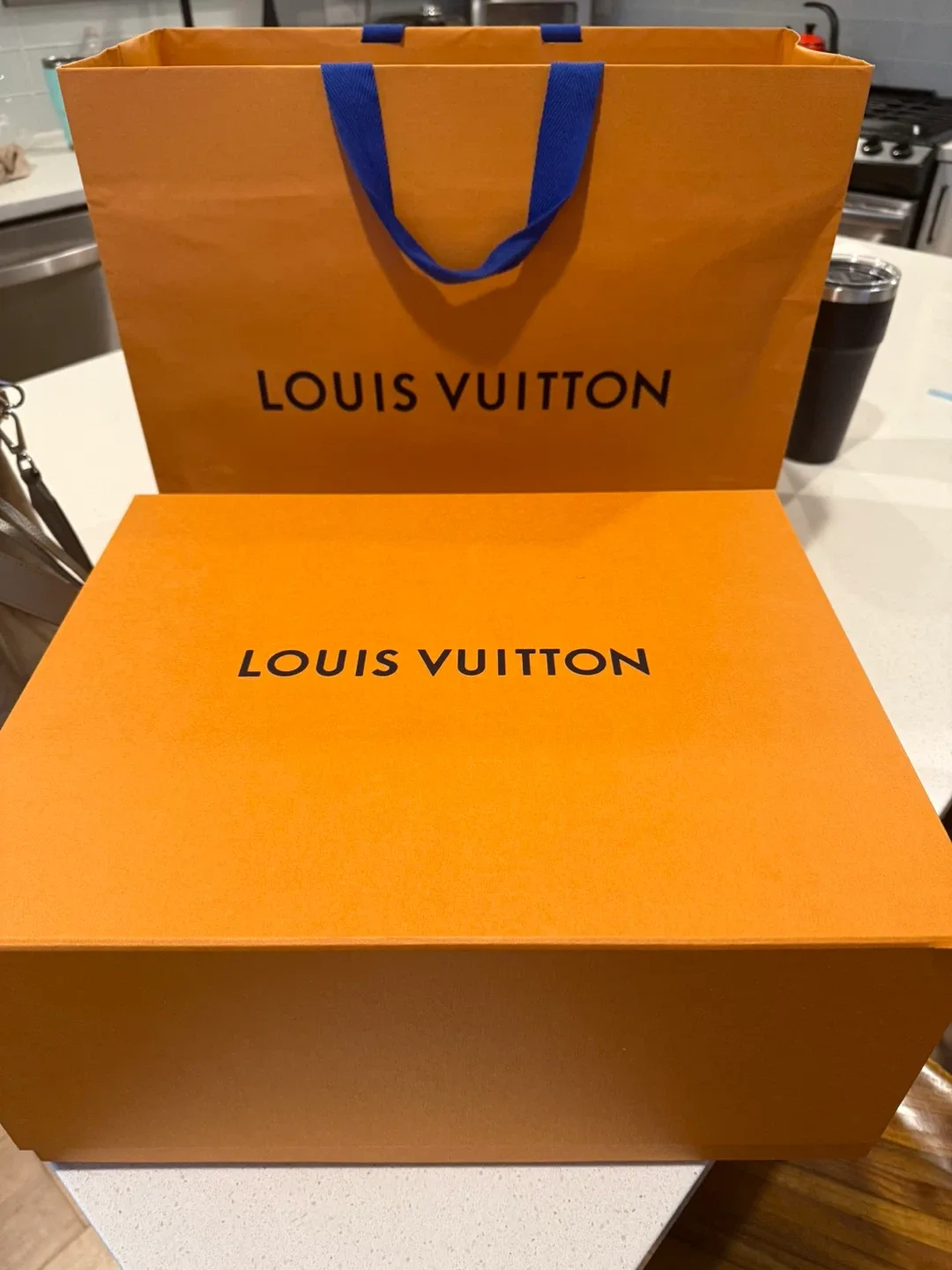 Louis Vuitton Muria Bucket Bag 2025 image indicator(10)
