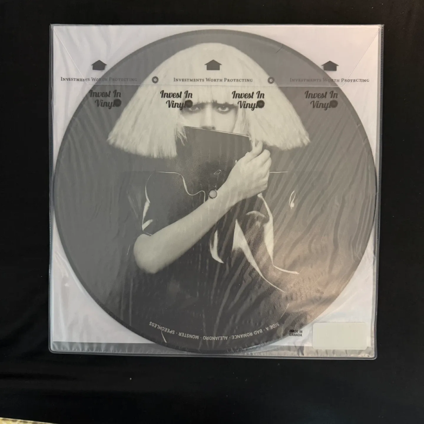 Fame Monster Lady Gaga Picture Disc Vinyl