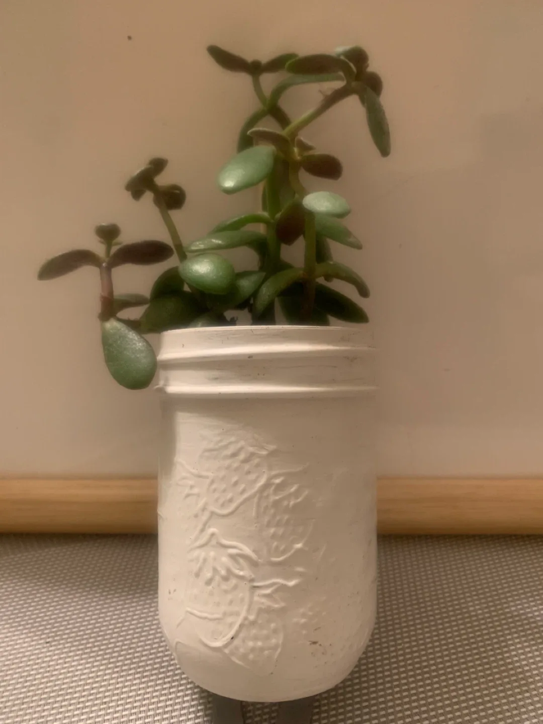 Potted Jade Plant in White Jar