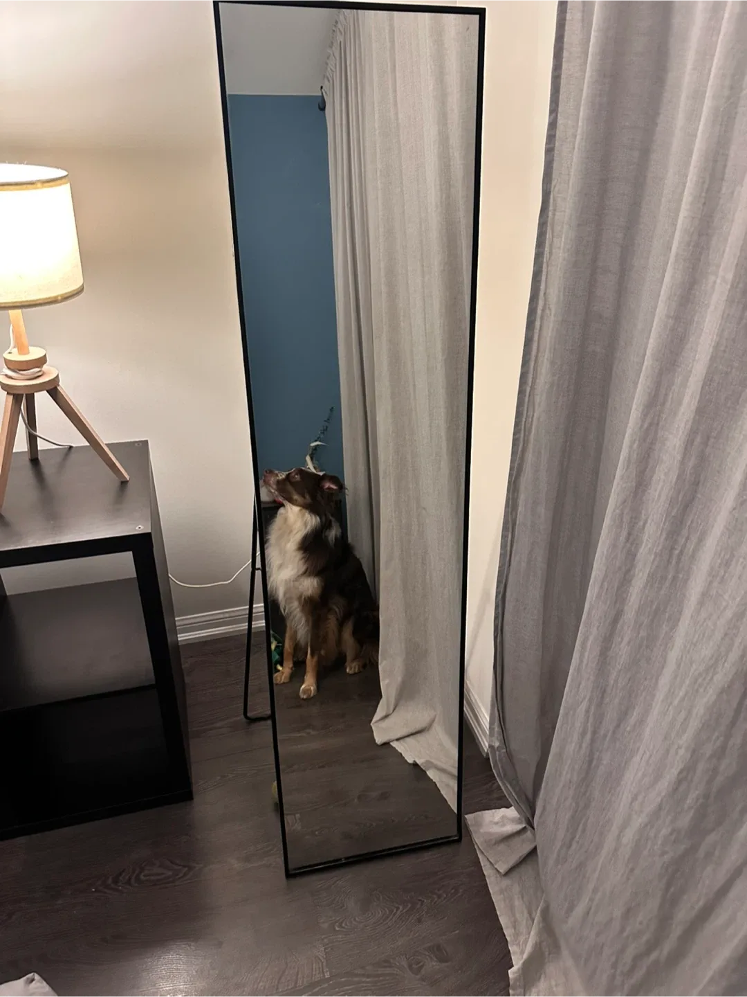 IKEA Karmsund Full Length Black Framed Standing Mirror