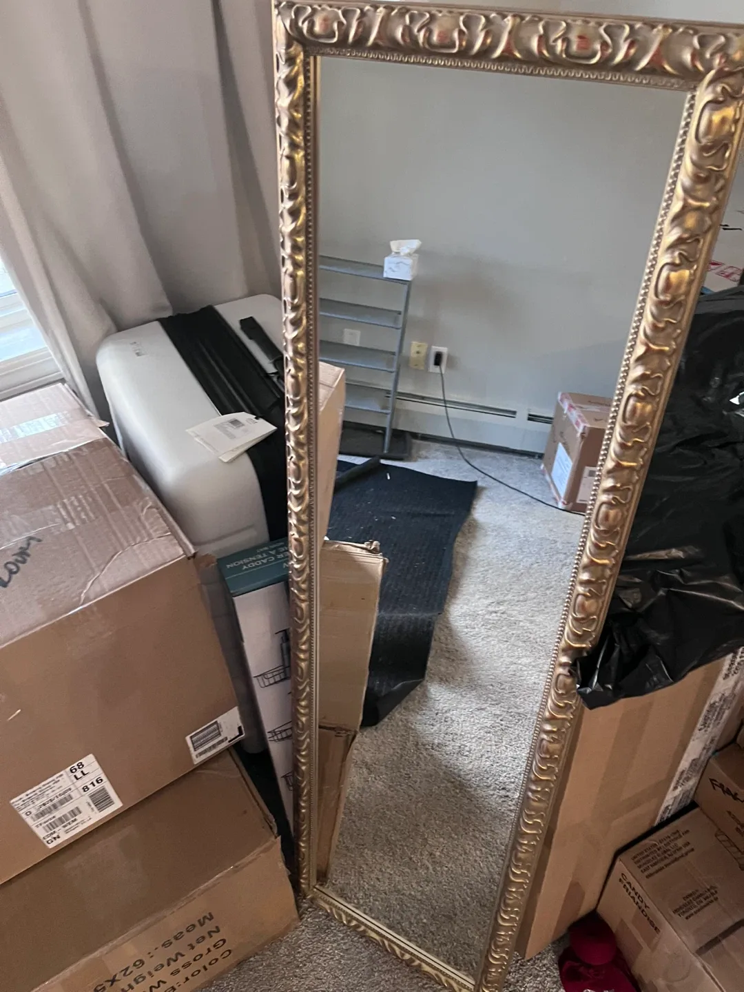 Ornate Gold Full Length Mirror