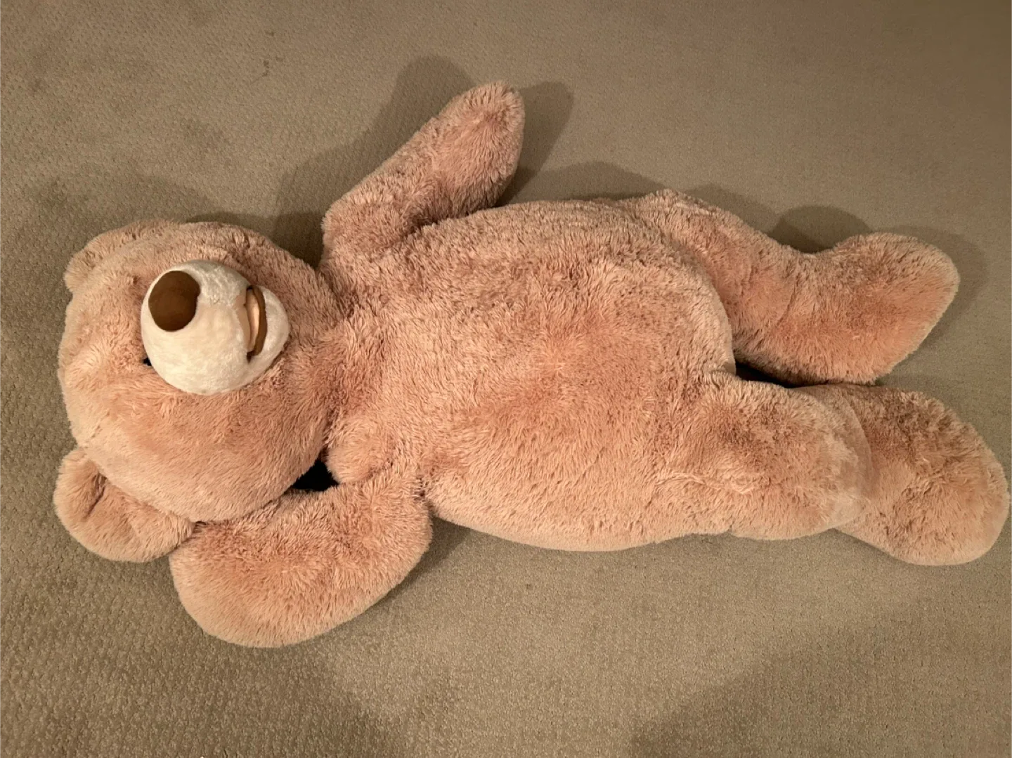 Giant Plush Teddy Bear.                            5 feet tall image indicator(2)