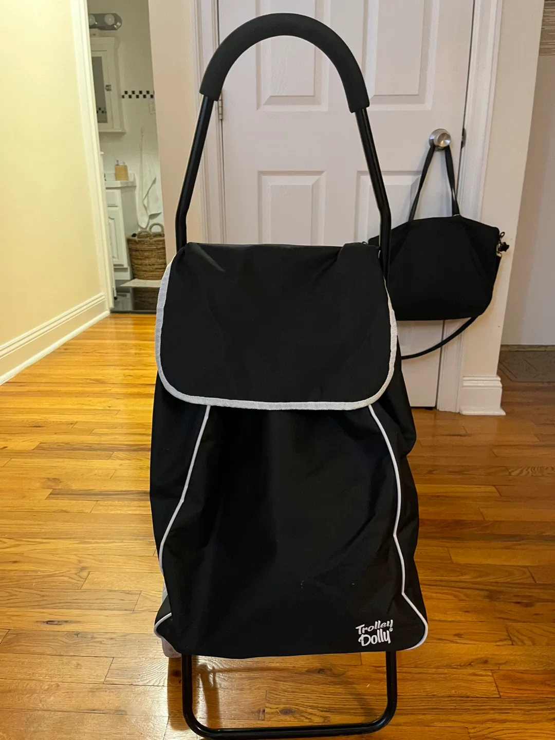 Trolley Dolly Rolling Shopping Cart - Black