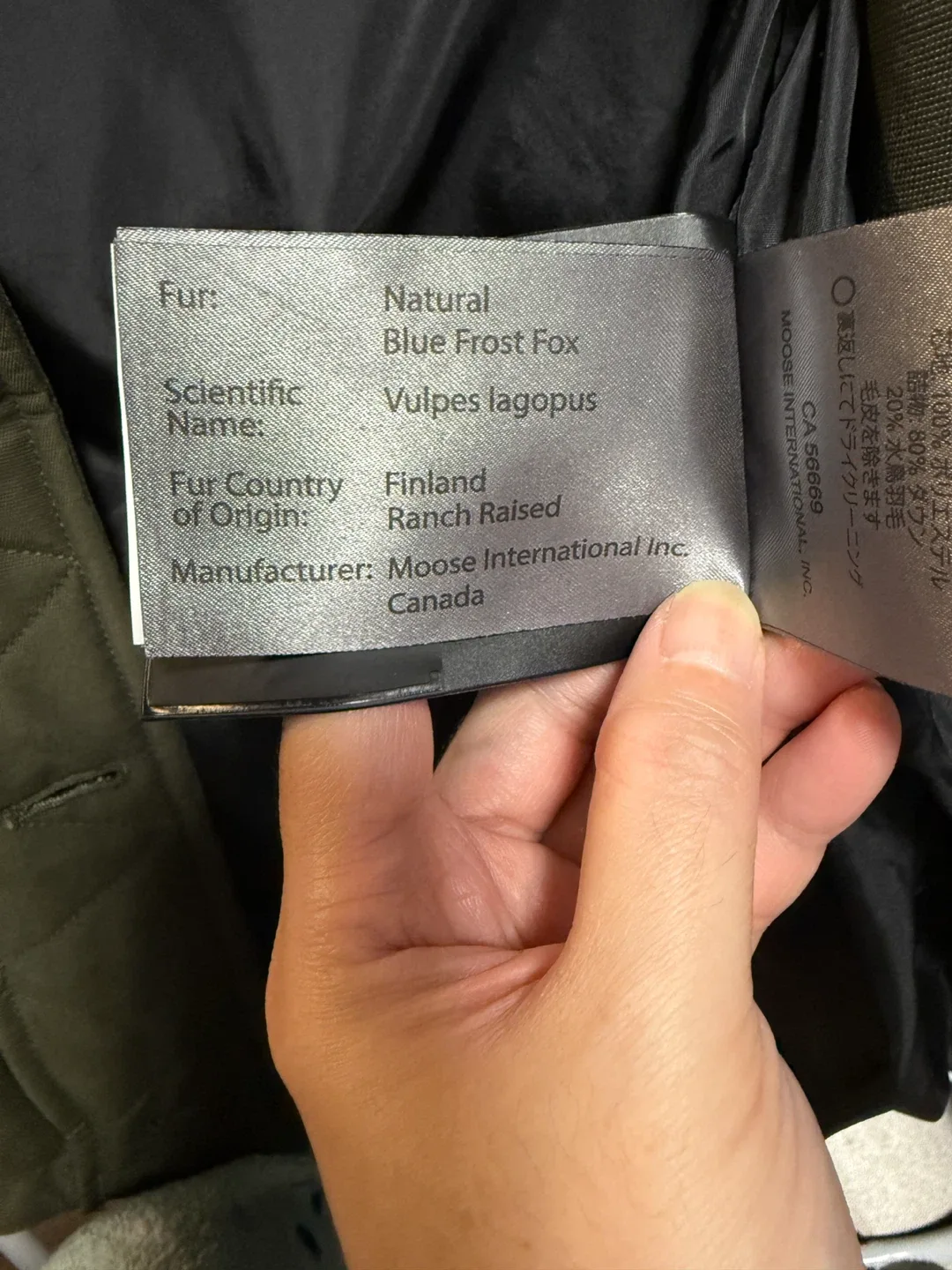 🔥 Moose Knuckles Winter Jacket – Army Green 🔥 image indicator(5)